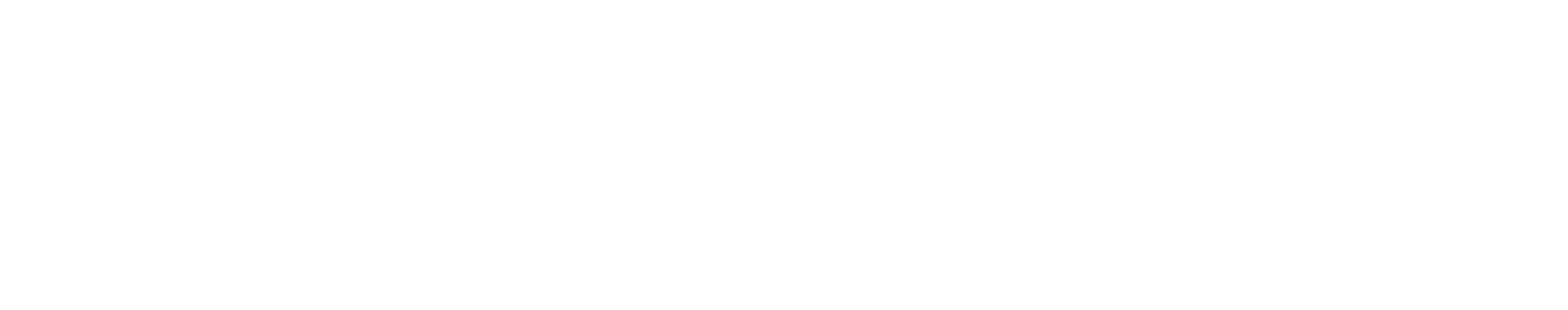 Ringfeder