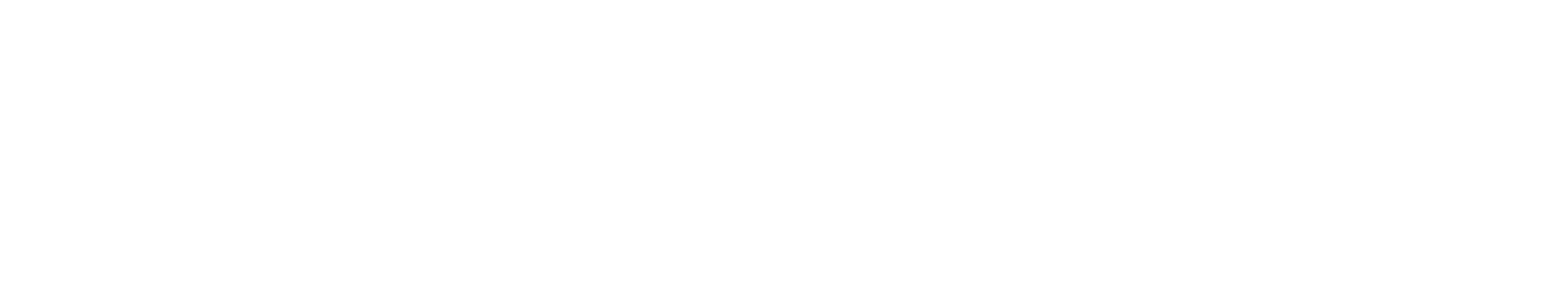 Zanini Renk
