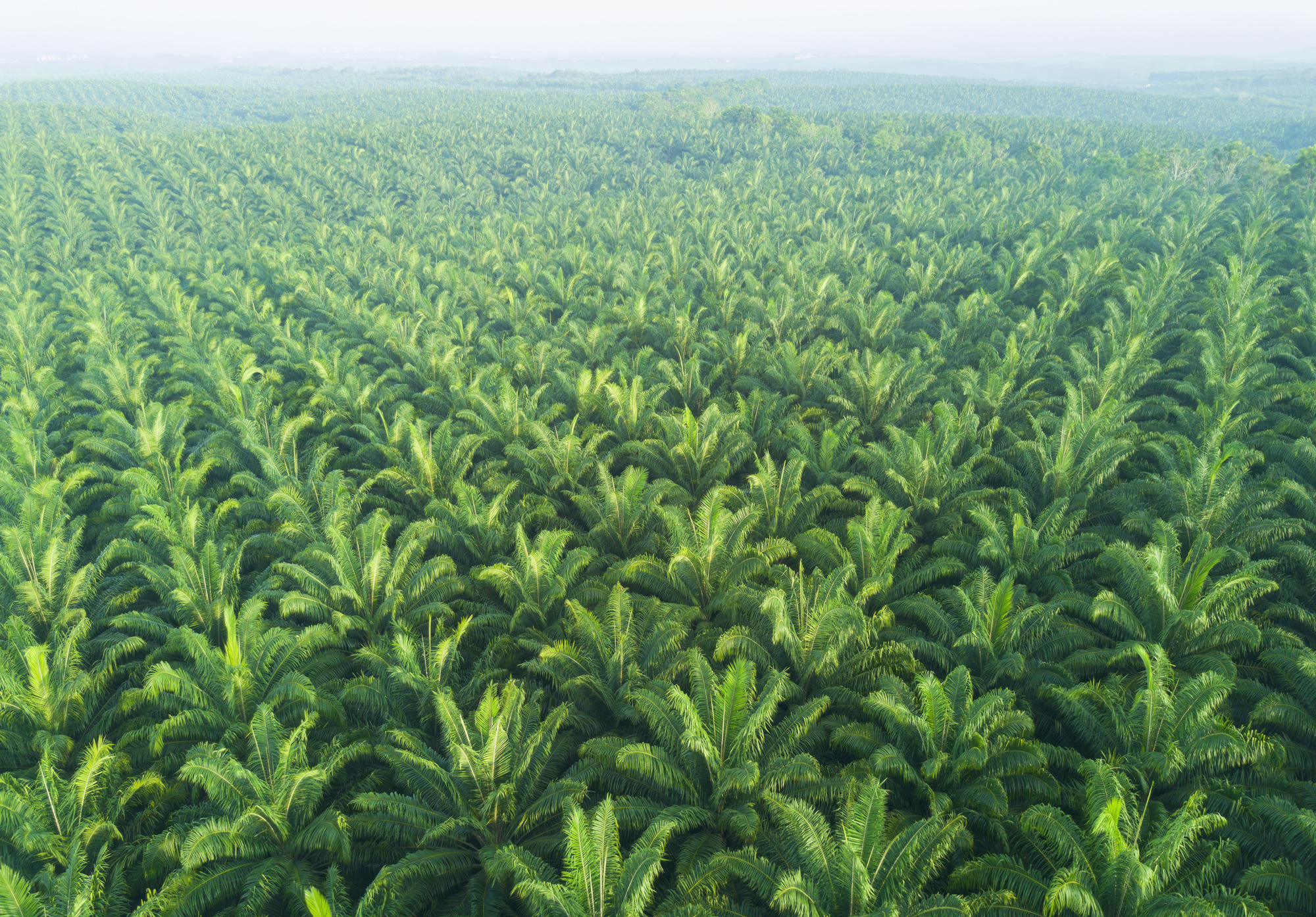 Agroindustria